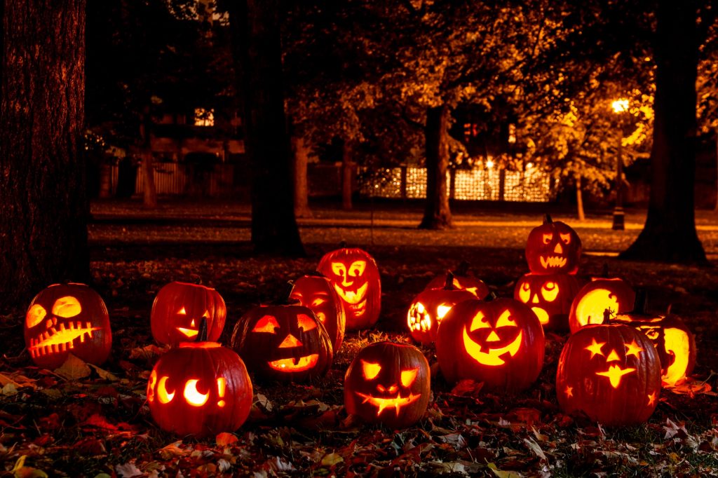 Calabazas-dia-de-halloween